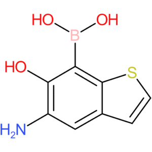 (5-amino-6-hydroxy-1-benzothiophen-7-yl)boronic acid