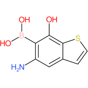 (5-amino-7-hydroxy-1-benzothiophen-6-yl)boronic acid