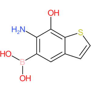 6-amino-7-hydroxybenzothiophene-5-boronic acid