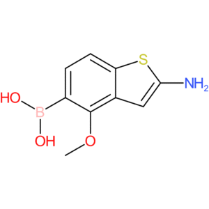 2-amino-4-methoxybenzothiophene-5-boronic acid