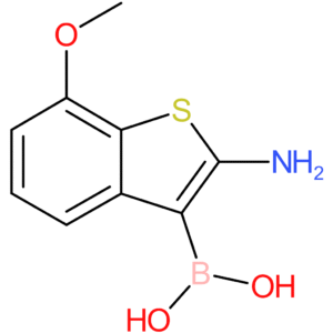 2-amino-7-methoxybenzothiophene-3-boronic acid