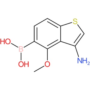 3-amino-4-methoxybenzothiophene-5-boronic acid