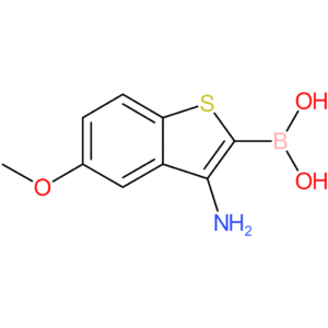 3-amino-5-methoxybenzothiophene-2-boronic acid
