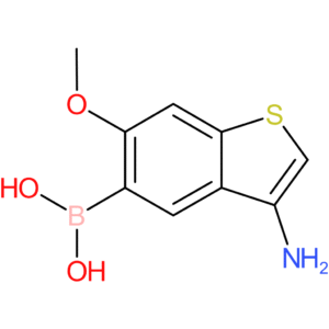 3-amino-6-methoxybenzothiophene-5-boronic acid