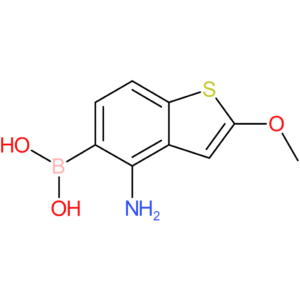 4-amino-2-methoxybenzothiophene-5-boronic acid