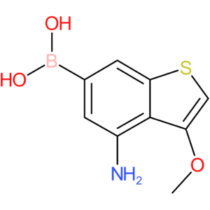 4-amino-3-methoxybenzothiophene-6-boronic acid
