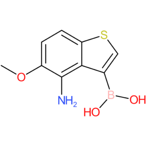 4-amino-5-methoxybenzothiophene-3-boronic acid