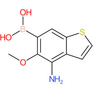 4-amino-5-methoxybenzothiophene-6-boronic acid