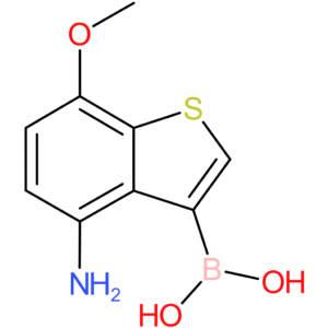 4-amino-7-methoxybenzothiophene-3-boronic acid