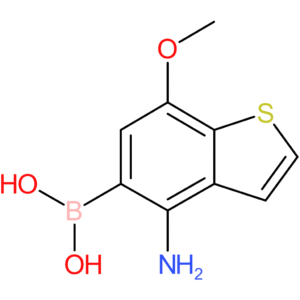 4-amino-7-methoxybenzothiophene-5-boronic acid