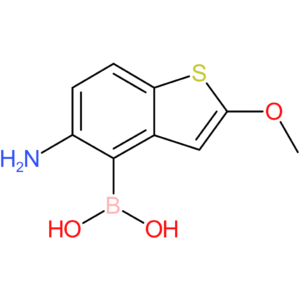 5-amino-2-methoxybenzothiophene-4-boronic acid