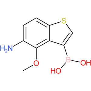 5-amino-4-methoxybenzothiophene-3-boronic acid