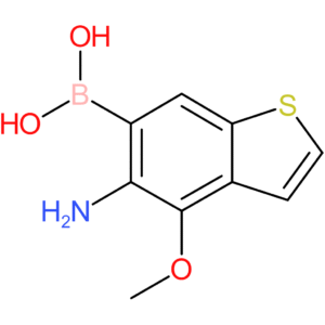 5-amino-4-methoxybenzothiophene-6-boronic acid