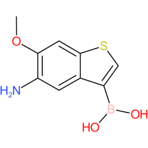 5-amino-6-methoxybenzothiophene-3-boronic acid