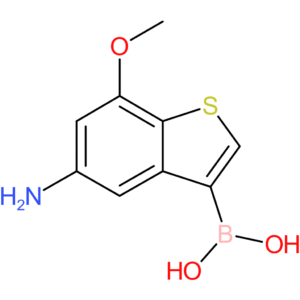 5-amino-7-methoxybenzothiophene-3-boronic acid