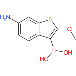 6-amino-2-methoxybenzothiophene-3-boronic acid