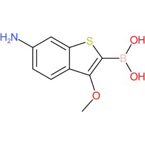 6-amino-3-methoxybenzothiophene-2-boronic acid