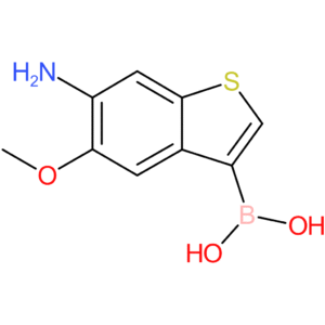 6-amino-5-methoxybenzothiophene-3-boronic acid