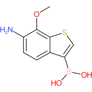 6-amino-7-methoxybenzothiophene-3-boronic acid