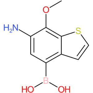 6-amino-7-methoxybenzothiophene-4-boronic acid