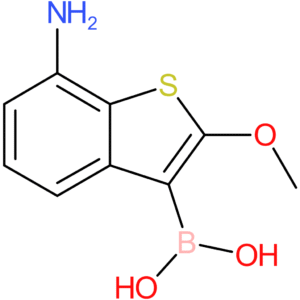7-amino-2-methoxybenzothiophene-3-boronic acid