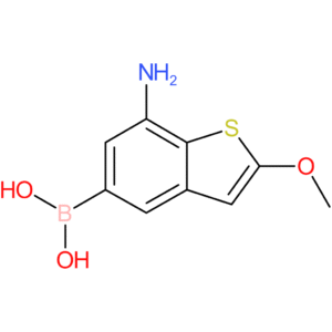 7-amino-2-methoxybenzothiophene-5-boronic acid