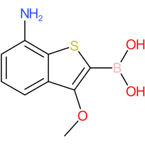 7-amino-3-methoxybenzothiophene-2-boronic acid