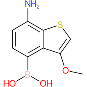 7-amino-3-methoxybenzothiophene-4-boronic acid