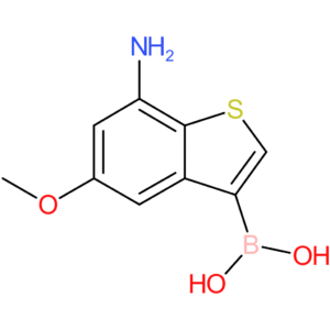 7-amino-5-methoxybenzothiophene-3-boronic acid