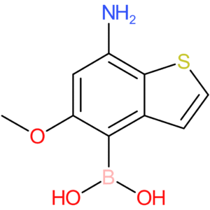 7-amino-5-methoxybenzothiophene-4-boronic acid