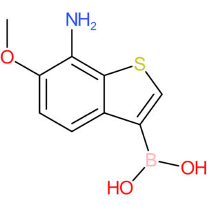 7-amino-6-methoxybenzothiophene-3-boronic acid