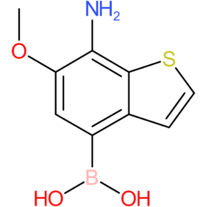 7-amino-6-methoxybenzothiophene-4-boronic acid
