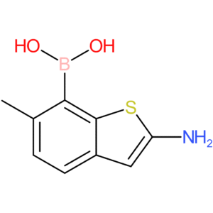 (2-amino-6-methyl-1-benzothiophen-7-yl)boronic acid