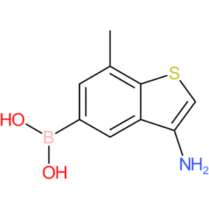 3-amino-7-methylbenzothiophene-5-boronic acid