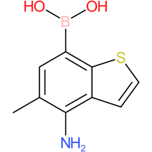 4-amino-5-methylbenzothiophene-7-boronic acid