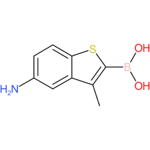 5-amino-3-methylbenzothiophene-2-boronic acid