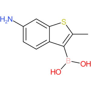 6-amino-2-methylbenzothiophene-3-boronic acid