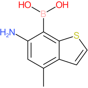6-amino-4-methylbenzothiophene-7-boronic acid
