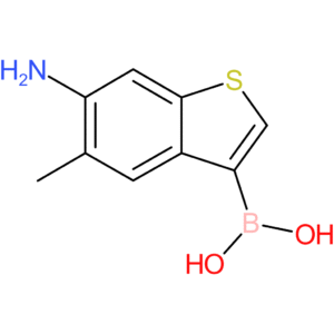6-amino-5-methylbenzothiophene-3-boronic acid