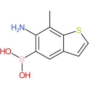 (6-amino-7-methyl-1-benzothiophen-5-yl)boronic acid