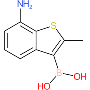 7-amino-2-methylbenzothiophene-3-boronic acid