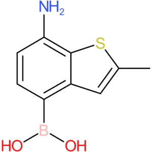 (7-amino-2-methyl-1-benzothiophen-4-yl)boronic acid
