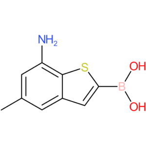 (7-amino-5-methyl-1-benzothiophen-2-yl)boronic acid