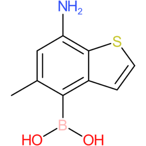 7-amino-5-methylbenzothiophene-4-boronic acid