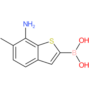 (7-amino-6-methyl-1-benzothiophen-2-yl)boronic acid