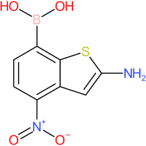 2-amino-4-nitrobenzothiophene-7-boronic acid