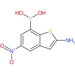 2-amino-5-nitrobenzothiophene-7-boronic acid