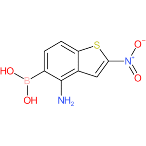 4-amino-2-nitrobenzothiophene-5-boronic acid