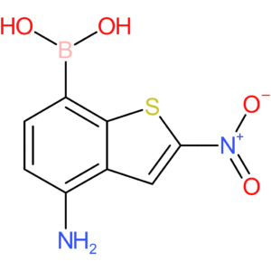 4-amino-2-nitrobenzothiophene-7-boronic acid