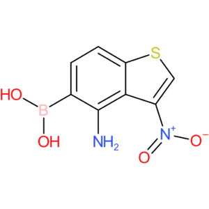 4-amino-3-nitrobenzothiophene-5-boronic acid